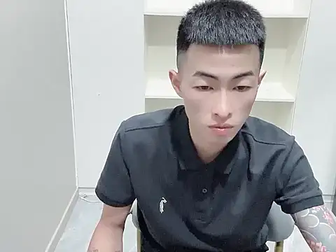 zn999 webcam