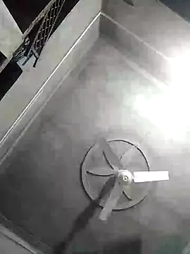 Loomaraj webcam