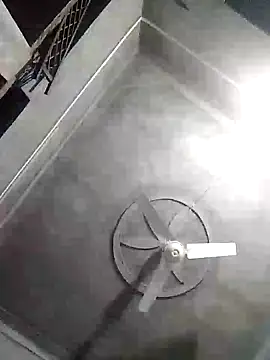 Loomaraj webcam
