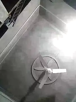 Loomaraj webcam