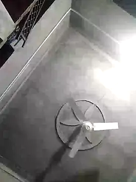 Loomaraj webcam