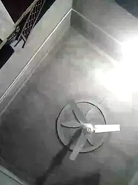 Loomaraj webcam
