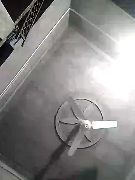 Loomaraj webcam