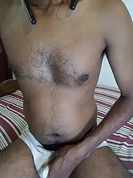 SL-Robinsan webcam