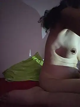 altinya webcam