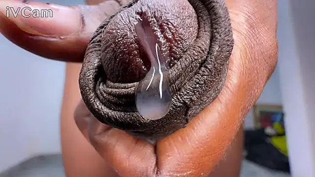 blessed-cock webcam