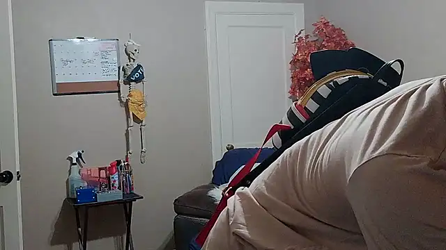 KY_Sir35 webcam