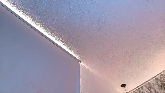 Fieramadame webcam