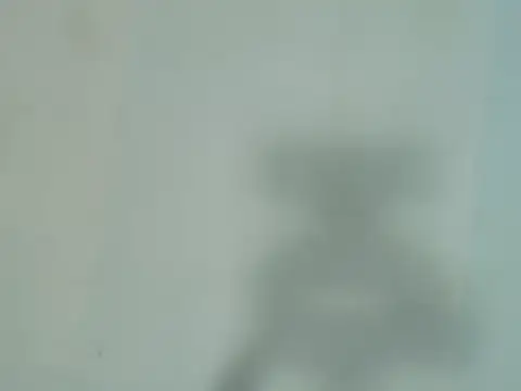 Harper_Morgan1 webcam