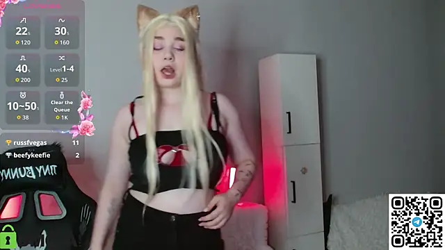 Yuly_Softy webcam
