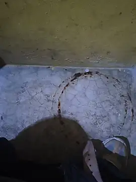 Manyy550 webcam
