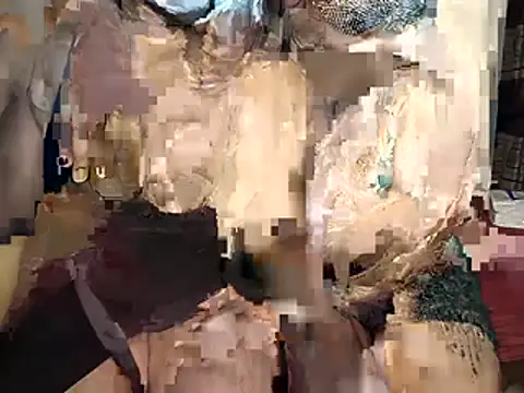 ___Little_________mermaid webcam