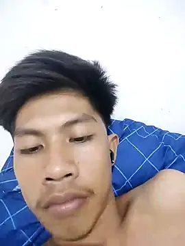 isal_ webcam