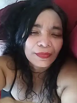 Ariais502026 webcam