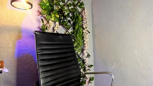 Ari_stone webcam