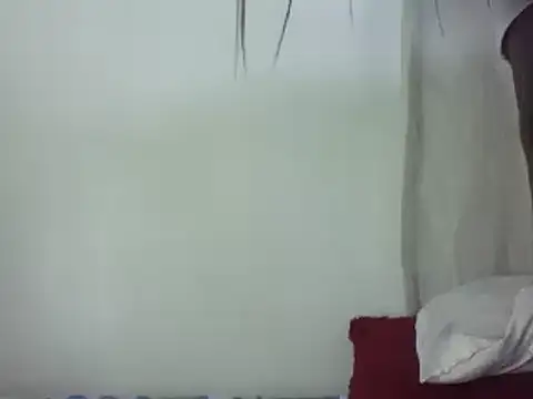 Letvia_B webcam