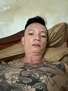 17cm-duchu webcam