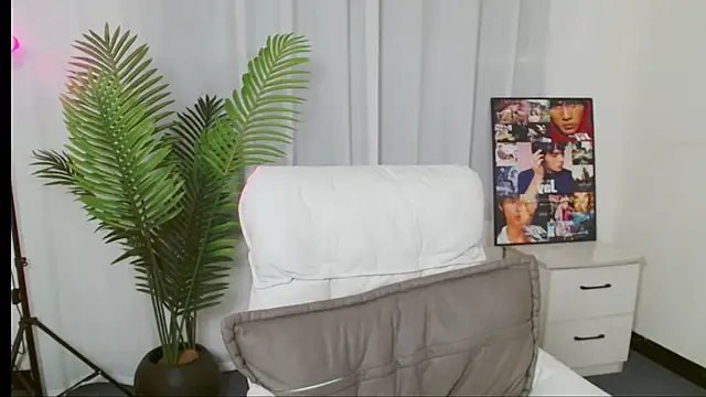 Ww437 webcam
