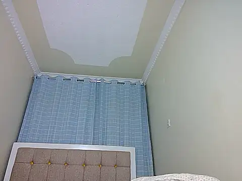 heykelly webcam