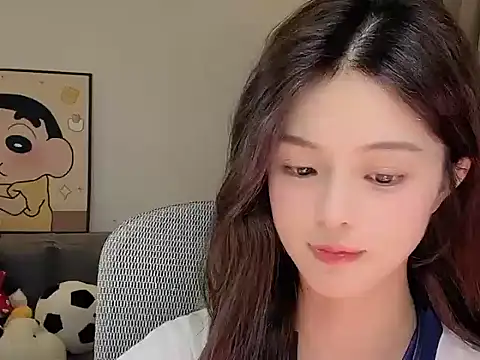 Dodo-13 webcam