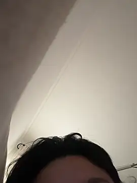 77mian webcam