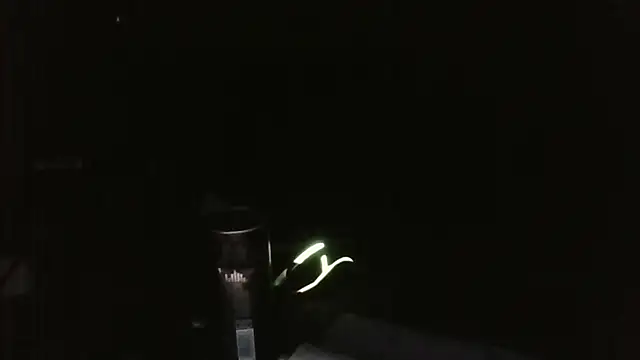 MrWhitePL webcam
