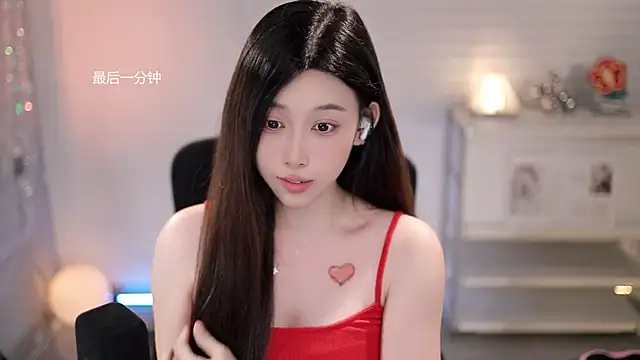 SleepArtist webcam