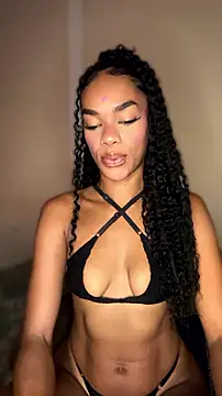 MIMICAMM webcam