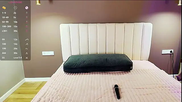 xi_dixi webcam