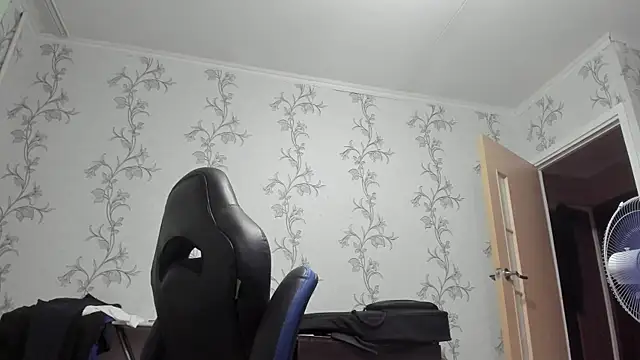 SanFrantsisko webcam