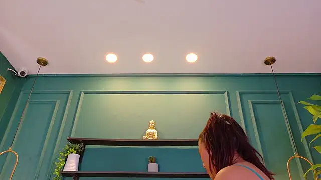 ale_cam webcam