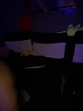 Mohdollmen webcam
