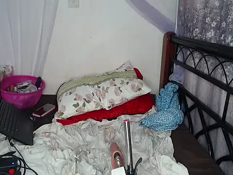 Whimsicalwillow webcam