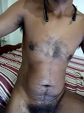 SL-Robinsan webcam