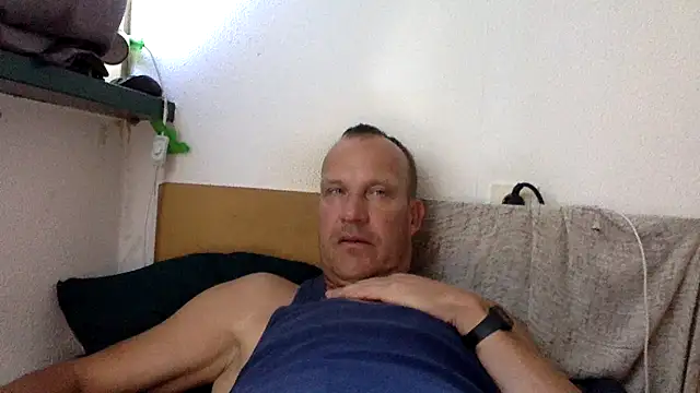 dlvis12 webcam