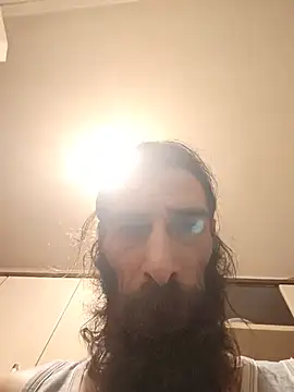vulpe8400 webcam