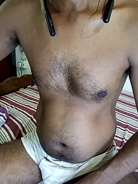 SL-Robinsan webcam