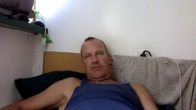 dlvis12 webcam