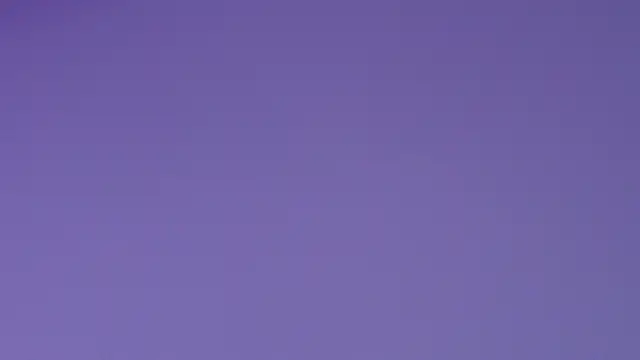 rubihops webcam