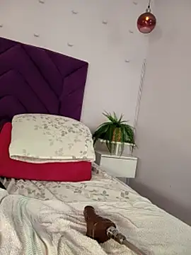 haileystone webcam