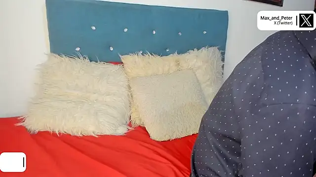 Max_and_Peter webcam