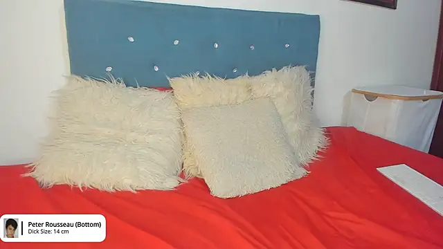 Max_and_Peter webcam