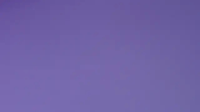 rubihops webcam