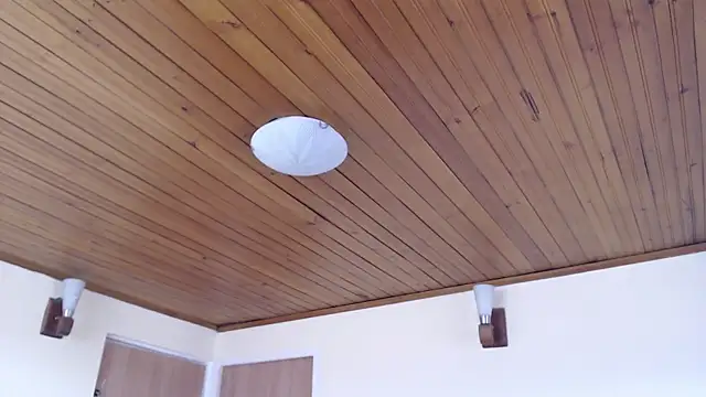 AyameFoxy webcam
