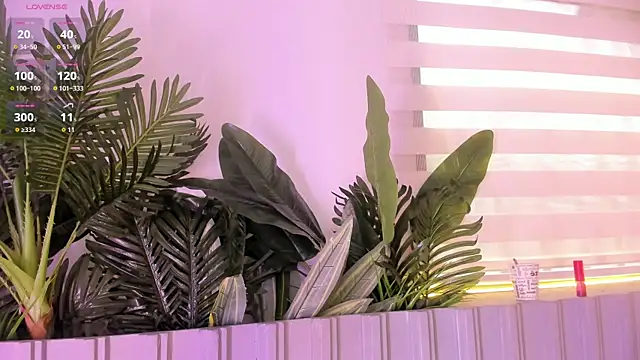 stephanymonroe webcam