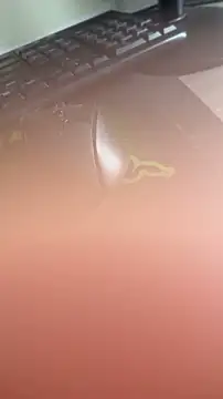mo-mo-69 webcam