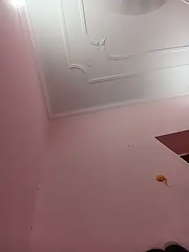Hy-Diya webcam
