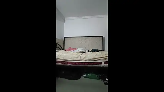 sky_dancers webcam