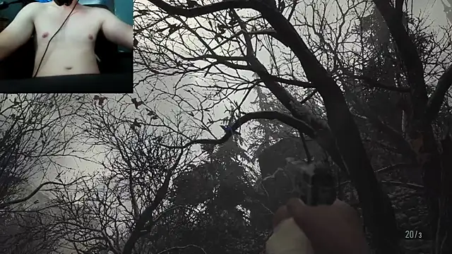 WARDOX5 webcam
