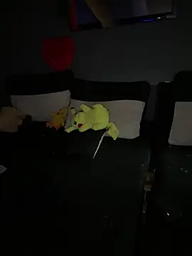 Mohdollmen webcam